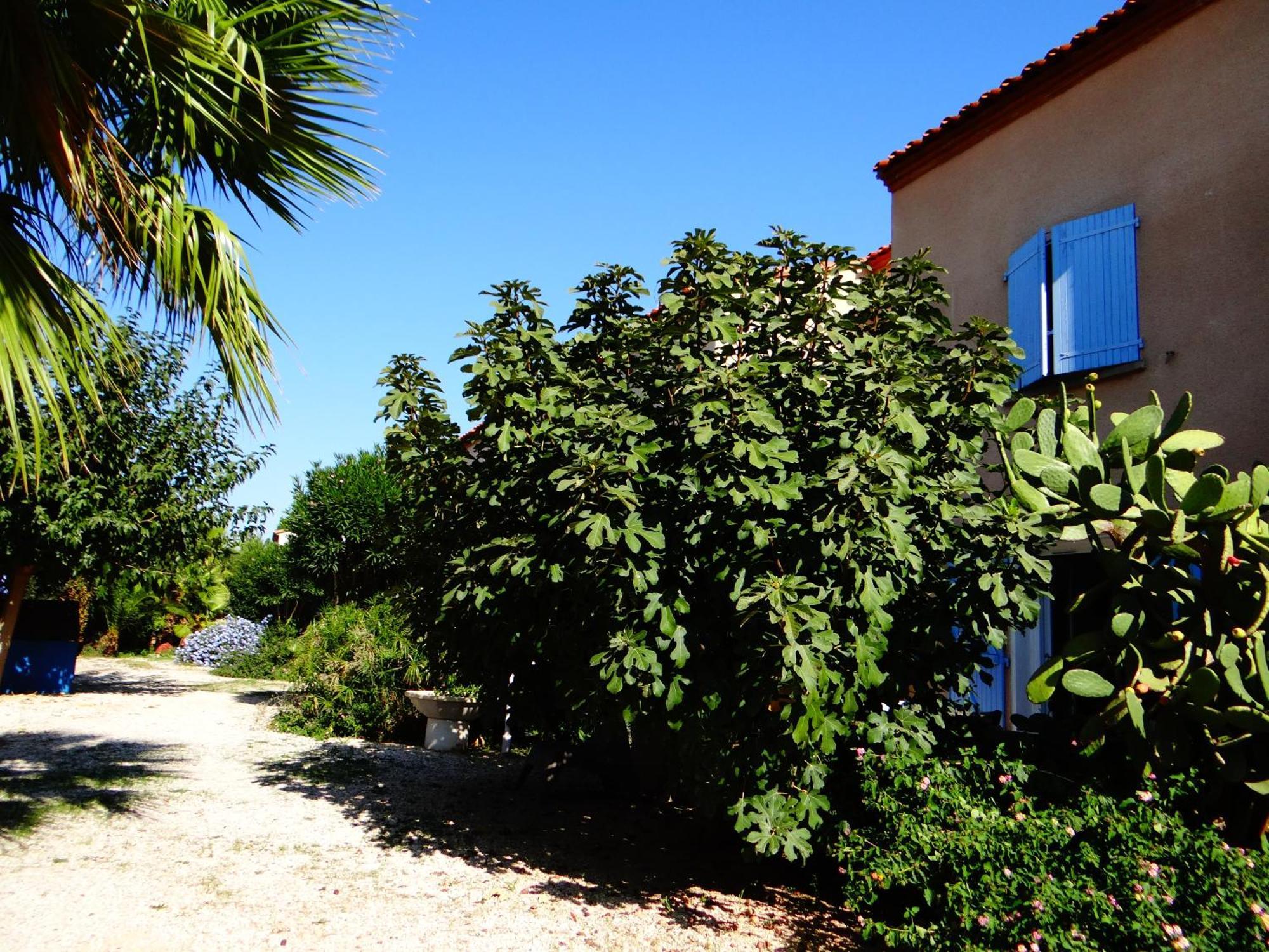 Residence L'Orangeraie-2-Claira 66530 Luaran gambar